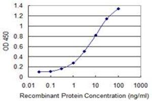 Detection limit for recombinant GST tagged QPCT is 0. (QPCT Antikörper  (AA 262-359))