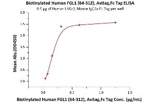 Immobilized Human LAG-3, Mouse IgG2a Fc Tag (ABIN5674633,ABIN6253716) at 5 μg/mL (100 μL/well) can bind Biotinylated Human FGL1 (64-312), Avitag,Fc Tag (ABIN6973071) with a linear range of 0. (FGL1 Protein (AA 64-312) (AVI tag,Fc Tag,Biotin))
