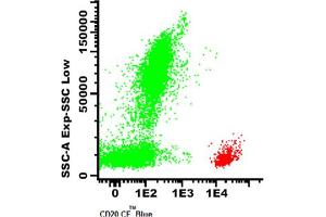 Image no. 1 for anti-Membrane-Spanning 4-Domains, Subfamily A, Member 1 (MS4A1) antibody (CF405M) (ABIN1112085) (CD20 Antikörper  (CF405M))