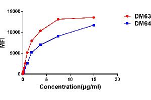 Affinity ranking of different Rabbit anti- CD28 mAb clones by titration of different concentration onto Jurkat cells. (Rekombinanter CD28 Antikörper  (AA 19-152))