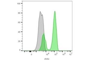 Flow cytometry analysis of lymphocyte-gated PBMCs unstained (gray) or stained with CF488A-labeled CD3 mouse monoclonal antibody (CRIS-7) (green) (CD3 epsilon Antikörper)