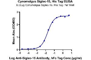 ELISA image for Sialic Acid Binding Ig-Like Lectin 15 (SIGLEC15) (AA 60-322) protein (His-Avi Tag) (ABIN7275584)