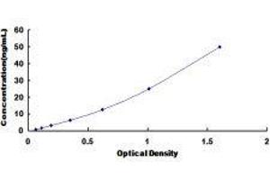 ELISA image for Chymotrypsin C (Caldecrin) (CTRC) ELISA Kit (ABIN424318) (Elastase 4 ELISA Kit)