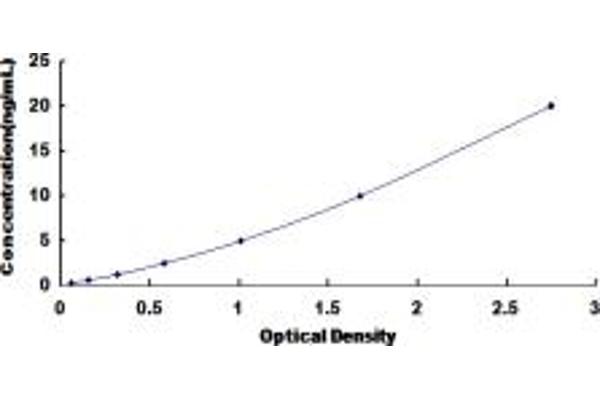 PKC zeta ELISA Kit