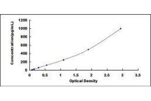 Typical standard curve (MMP13 ELISA Kit)