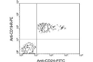 Flow Cytometry (FACS) image for anti-CD24 Molecule (CD24) antibody (FITC) (ABIN371110) (CD24 Antikörper  (FITC))