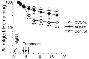 Tracer plasma concentrations were determined by ELISA and plotted either as percent remaining as compared with the first time point plasma concentrations or as plasma concentrations ±SD. (FcRn Antikörper)