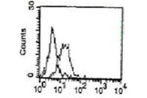 Flow Cytometry (FACS) image for anti-MHC Class I Polypeptide-Related Sequence B (MICB) antibody (ABIN1108239) (MICB Antikörper)