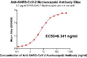 Elisa plate pre-coated by 2 μg/mL(100 μL/well) SARS-CoV-2 Nucleocapsid protein, His Tag ABIN6961146, ABIN7042321 and ABIN7042322 can bind Rabbit Anti-SARS-CoV-2 Nucleocapsid monoclonal antibody(clone:DM22) in a linear range of 0. (SARS-CoV-2 Nucleocapsid Antikörper)