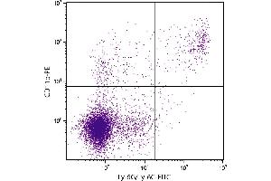 BALB/c mouse splenocytes were stained with Rat Anti-Mouse CD11b-PE. (CD11b Antikörper  (PE))