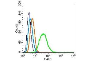 Flow Cytometry (FACS) image for anti-Cyclin-Dependent Kinase Inhibitor 1B (p27, Kip1) (CDKN1B) (AA 150-198) antibody (ABIN672621)