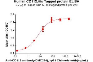 ELISA plate pre-coated by 2 μg/mL (100 μL/well) Human CD112 Protein, His Tag(ABIN7092736, ABIN7272308 and ABIN7272309) can bind Anti-CD112 antibody, IgG1 Chimeric mAb in a linear range of 0. (PVRL2 Protein (AA 32-360) (His tag))