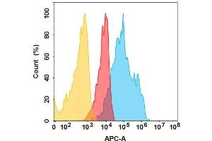 Flow Cytometry (FACS) image for anti-IGF1R (Teprotumumab Biosimilar) (Glu239Asp-Mutant), (Met241Leu-Mutant) antibody (ABIN7538766)