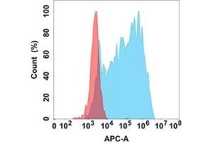 Flow cytometry analysis with Anti-ANG (DM205) on Expi293 cells transfected with human ANG (Blue histogram) or Expi293 transfected with irrelevant protein (Red histogram). (ANGPTL3 Antikörper)