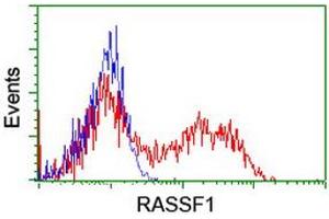 Flow Cytometry (FACS) image for anti-Ras Association (RalGDS/AF-6) Domain Family Member 1 (RASSF1) (AA 1-341) antibody (ABIN1490755) (RASSF1 Antikörper  (AA 1-341))