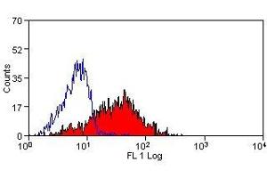 Flow Cytometry (FACS) image for anti-Talin (TLN) antibody (ABIN2476676) (Talin Antikörper)