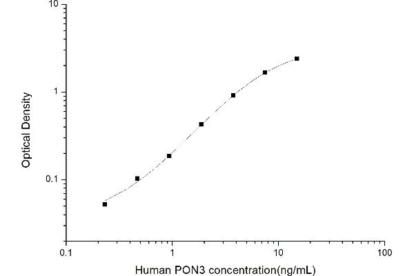 PON3 ELISA Kit