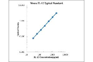 ELISA image for Interleukin 12 (IL12) ELISA Kit (ABIN2472094) (IL12 ELISA Kit)