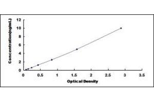 PCDHB16 ELISA Kit