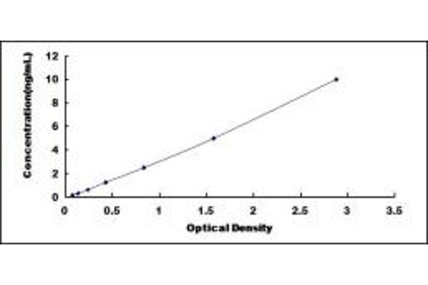 PCDHB16 ELISA Kit