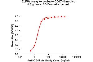 Elisa plates were pre-coated with Flag Tag CD47-Nanodisc (0. (CD47 Protein (CD47))