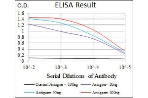 ELISA image for anti-Alkaline Phosphatase, Liver/bone/kidney (ALPL) antibody (ABIN1845845) (ALPL Antikörper)