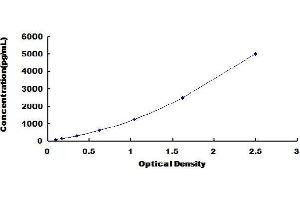 Typical Standard Curve (C19ORF80 ELISA Kit)