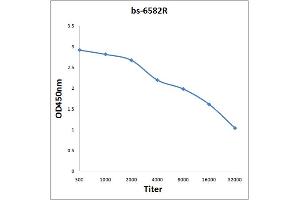 Antigen: 0. (RNA Polymerase 2 (pSer5) Antikörper)