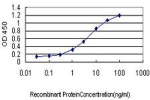 Detection limit for recombinant GST tagged PTK2 is approximately 0. (FAK Antikörper  (AA 355-490))