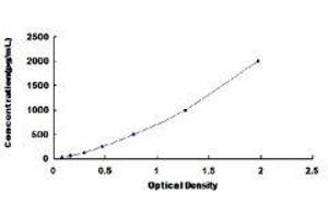 ELISA image for Eosinophil Chemotactic Factor (ECF) ELISA Kit (ABIN416306) (ECF ELISA Kit)