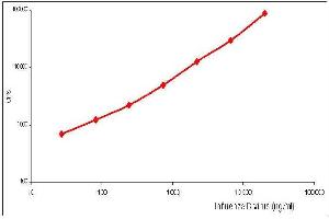 Calibration curve for Influenza B sandwich fluoroimmunoassay using anti-NP antibodies. (Influenza Nucleoprotein Antikörper (Influenza B Virus))