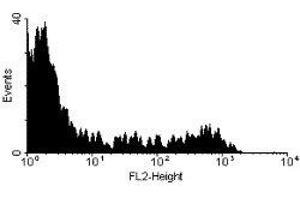 Flow Cytometry (FACS) image for anti-CD8b Molecule (CD8B) antibody (PE) (ABIN2472576) (CD8B Antikörper  (PE))