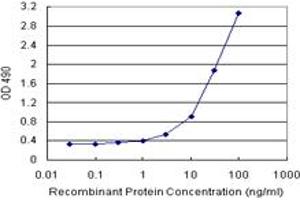 Sandwich ELISA detection sensitivity ranging from 0. (TTC1 (Human) Matched Antibody Pair)