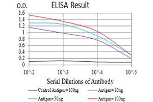 Black line: Control Antigen (100 ng),Purple line: Antigen (10 ng), Blue line: Antigen (50 ng), Red line:Antigen (100 ng) (SIRPA Antikörper  (AA 235-373))