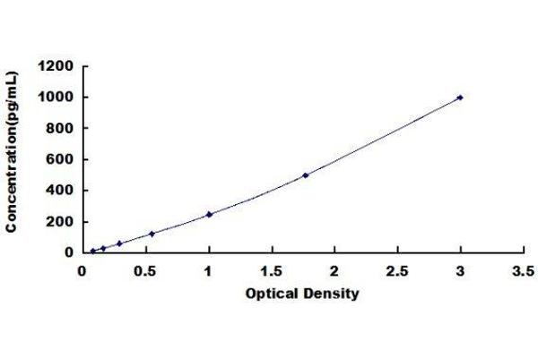 SCG5 ELISA Kit