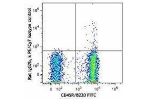 Flow Cytometry (FACS) image for anti-Chemokine (C-X-C Motif) Receptor 5 (CXCR5) antibody (PE-Cy7) (ABIN2659141) (CXCR5 Antikörper  (PE-Cy7))