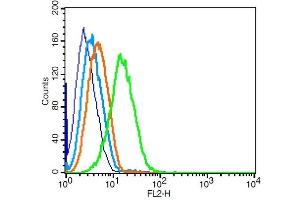 Flow Cytometry (FACS) image for anti-Chemokine (C-C Motif) Receptor 7 (CCR7) (AA 25-59) antibody (ABIN674724)