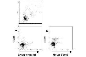 Flow Cytometry (FACS) image for anti-Forkhead Box P3 (FOXP3) antibody (Biotin) (ABIN2853612) (FOXP3 Antikörper  (Biotin))