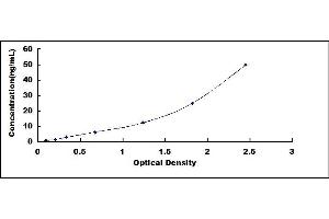 Typical standard curve (UCHL1 ELISA Kit)