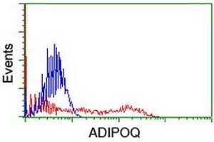 HEK293T cells transfected with either RC215161 overexpress plasmid (Red) or empty vector control plasmid (Blue) were immunostained by anti-ADIPOQ antibody (ABIN2455281), and then analyzed by flow cytometry. (ADIPOQ Antikörper  (AA 19-244))