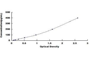 ELISA image for Peptidylprolyl Isomerase A (Cyclophilin A) (PPIA) ELISA Kit (ABIN1028488) (PPIA ELISA Kit)