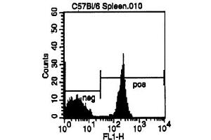 Cell Source: CD3e Positive Spleen Cells Percentage of cells stained above control: 52. (CD4 Antikörper  (FITC))