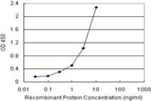 Sandwich ELISA detection sensitivity ranging from 0. (ECHS1 (Human) Matched Antibody Pair)