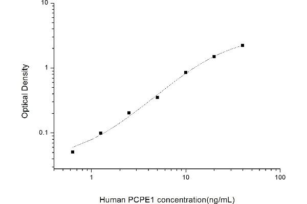 PCOLCE ELISA Kit