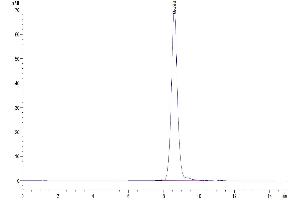 The purity of Human HPX is greater than 95 % as determined by SEC-HPLC. (Hemopexin Protein (HPX) (AA 24-462) (His tag))