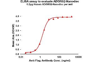 Elisa plates were pre-coated with Flag Tag AD-Nanodisc (0. (GPR64 Protein)