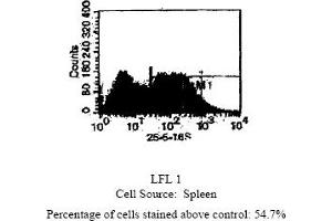 Mouse anti MHC Class II I-Ab 25. (MHC Class II I-Ab Antikörper  (Biotin))