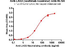ELISA plate pre-coated by 1 μg/mL (100 μL/well) Human , His tagged protein ABIN6964105, ABIN7042465 and ABIN7042466 can bind Anti- Neutralizing antibody (ABIN7093078 and ABIN7272608) in a linear range of 0. (Rekombinanter LAG3 (Relatlimab Biosimilar) Antikörper)