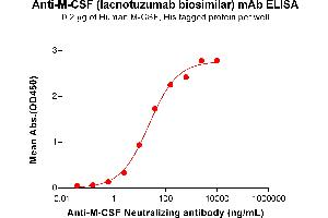 ELISA plate pre-coated by 2 μg/mL (100 μL/well) Human M-CSF Protein, His Tag ABIN7092731, ABIN7272278 and ABIN7272279 can bind Anti-M-CSF Neutralizing antibody (ABIN7478003 and ABIN7490942) in a linear range of 2. (Rekombinanter M-CSF (Lacnotuzumab Biosimilar) Antikörper)