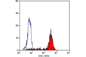 Staining of human peripheral blood monocytes with MOUSE ANTI HUMAN CD14:FITC (CD14 Antikörper  (FITC))